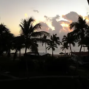 https://loiseau-du-paradis.comcaribbean.com